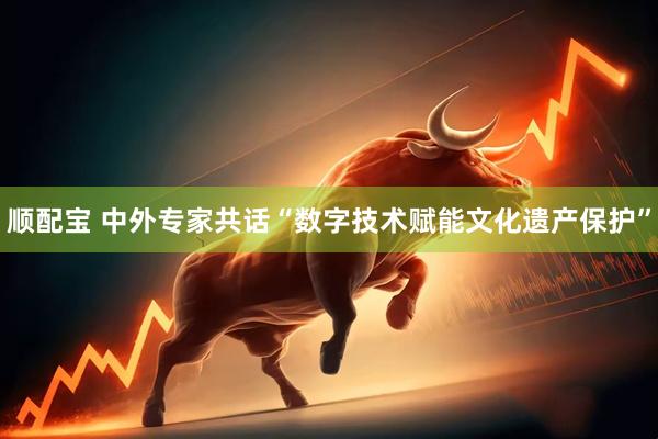 顺配宝 中外专家共话“数字技术赋能文化遗产保护”
