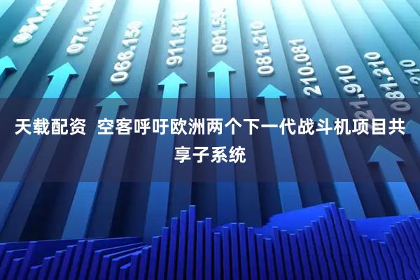 天载配资  空客呼吁欧洲两个下一代战斗机项目共享子系统