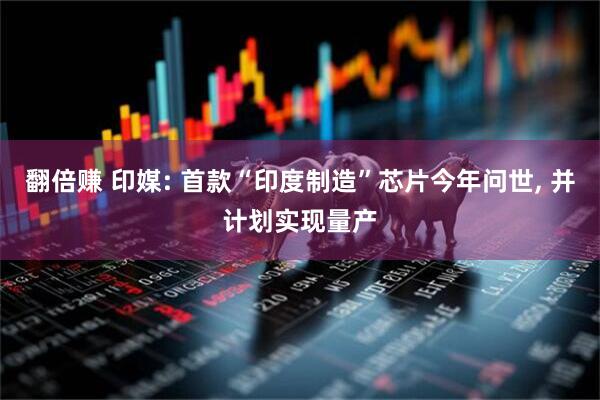 翻倍赚 印媒: 首款“印度制造”芯片今年问世, 并计划实现量产