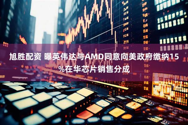 旭胜配资 曝英伟达与AMD同意向美政府缴纳15%在华芯片销售分成