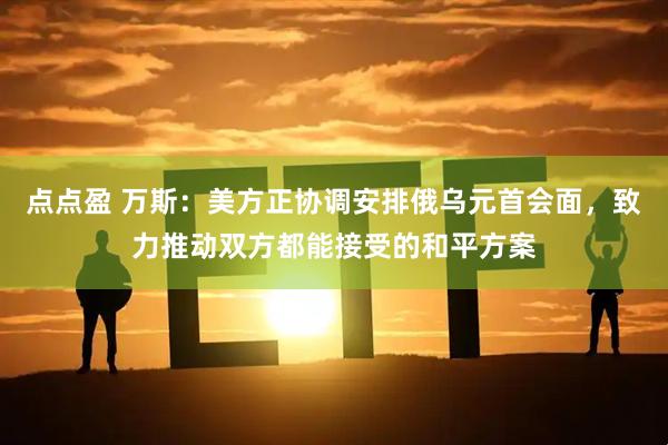 点点盈 万斯：美方正协调安排俄乌元首会面，致力推动双方都能接受的和平方案